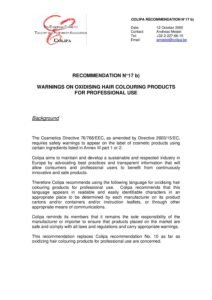 N° 17b: Replaced Recommendation N° 24b